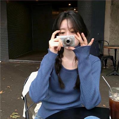鲨与鲸